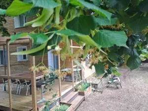 Sous les tilleuls - Mindin