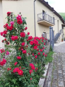 CON MARIO e ALMERINA