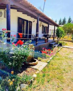 Villa Alva - 4hvězdičkové hotely ve městě Sikia