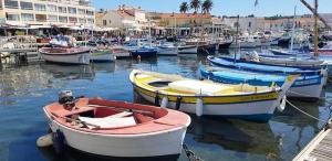 Résidence Alisier - T3 avec petite vue mer dans le domaine de la coudoulière MAE-8301