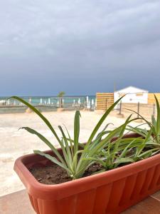 Perfetta per famiglie - Villa Fronte Mare Marsala