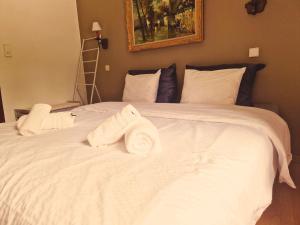 Double Room with Private Bathroom room in B&B La Source de la Geronstere