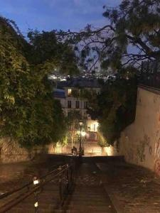 One Room Apartment in Paris Montmartre