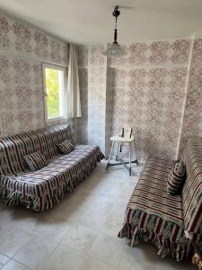 Bargilya Bodrum Yazlık Villa