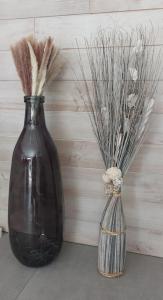 Villa Océan, environnement calme avec piscine chauffée 10 min de locéan