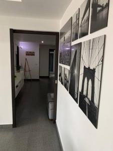 Luxury Chapultepec Apartment