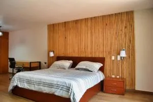 CASAS FREDA - Centro Historico Departamentos - 圣路易斯波托西