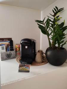 Sejours chez l'habitant _Linstant_zen_ : photos des chambres