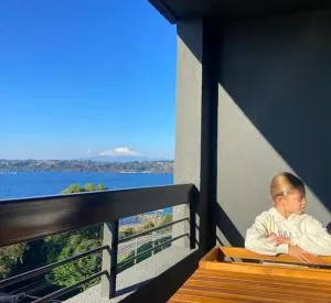 Vista panoramica lago y volcanes - Los Muermos