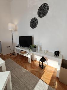 Apartman Březinova