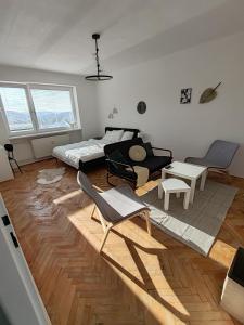 Apartman Březinova