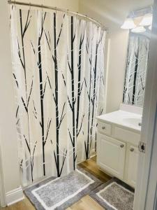 Amazing Beautiful Downtown Apartment