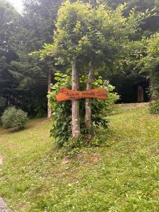 Mrežnički doživljaj