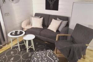 Aikku cabin in the heart of Lapland, free Lapin Kota, Budget week