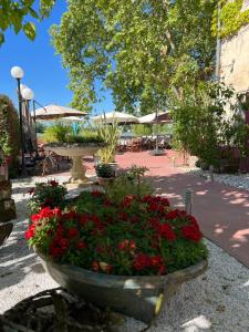 Villas Villa Garonne : photos des chambres