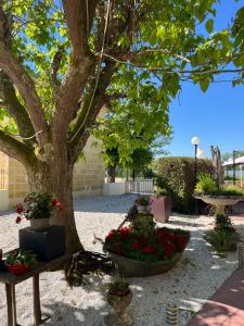 Villas Villa Garonne : photos des chambres