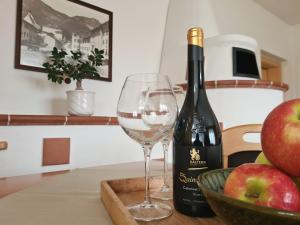 Urlaub auf dem Bauernhof Schmidhof - große Terrasse, Pool und beste Lage