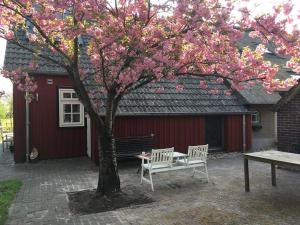 Gastenverblijf Op zijn Zweeds