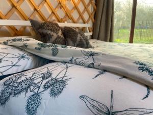 La yourte du verger d Hellebecq