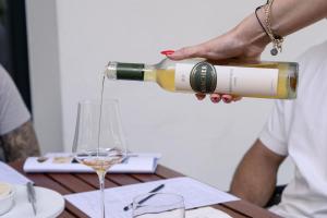 KRACHER Landhaus No 2 - inklusive Pool