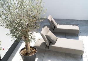 KRACHER Apartment No 1 - inklusive Pool