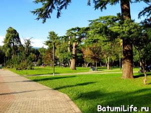 Давида Клдиашвили 13