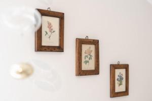 Harbors Edge Apartment