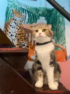 Punkei home-Chiang Mai Center Near Sunday Market