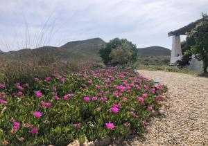 Estudio en cortijo en Fernán Pérez