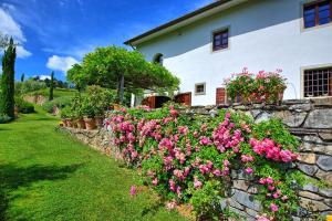 Villa Mami by PosarelliVillas