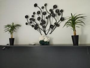 Appartements Les Cigalines : photos des chambres