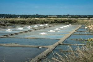 Maisons de vacances Maison pour 4, Mer et marais salants, Spa : photos des chambres