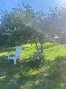 Maisons de vacances Maison pour 4, Mer et marais salants, Spa : photos des chambres