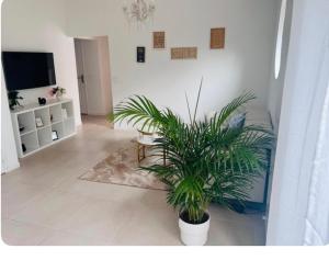 Appartements Tres belle maison lac d Enghien les bains 15 min Paris : photos des chambres