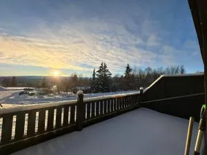 Family-Friendly apartment close to nature - Beitostølen