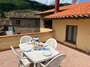 Rosa Selvatica by Holiday World - Momigno