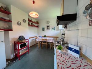 Rosa Selvatica by Holiday World