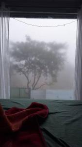 Cabana Eden - Cabin in the woods with splash pool