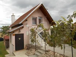 Ubytování u rybníka Bořetice - Němčičky