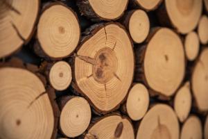 HIRSCH Stadt Apartment 6 - Balkon mit Flussblick - Parkplatz