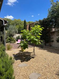 Maisons de vacances Charmante maison en Provence : photos des chambres