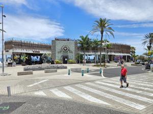 Apto Vera Cruz Playa las Americas