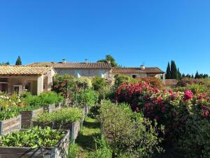 Alpilles Cottage Philippes Farm Gite 55m2 - 2 chambres - calme - piscine mas des figues - agritourisme bio - 3km Saint Rémy de Provence - Parc Naturel Régional des Alpilles - 6km Baux de Provence -