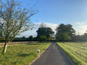 Edwardian Cottage in beautiful surroundings with hot tub