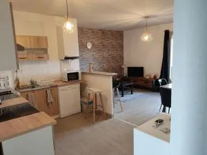 Superbe appartement avec vue sur le Puy de Dôme - Les Ancizes-Comps