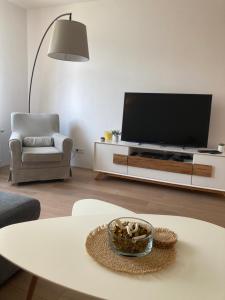 Ústí nad Labem, Apartmány pod hradem Střekovem