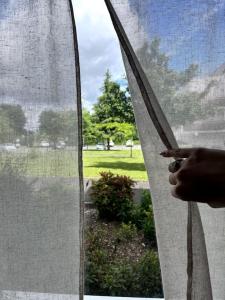 Appartements Evasion sur Vannes avec terrasse et jardinet : photos des chambres