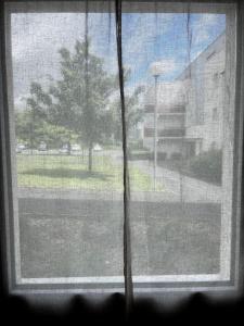 Appartements Evasion sur Vannes avec terrasse et jardinet : photos des chambres