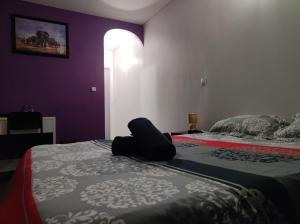B&B / Chambres d'hotes Paris cosy private room with shared space - Chambre privee avec espace commun Paris : photos des chambres