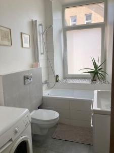 a fairy tale garden in a city